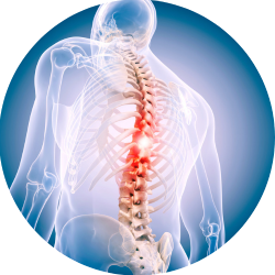 spinal